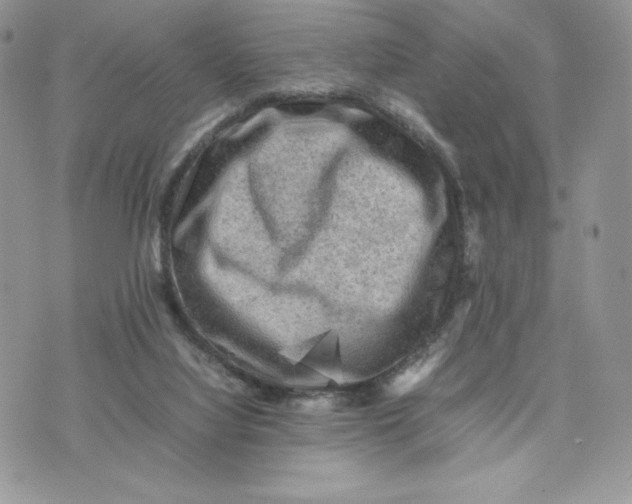 X0000075380068200609291601