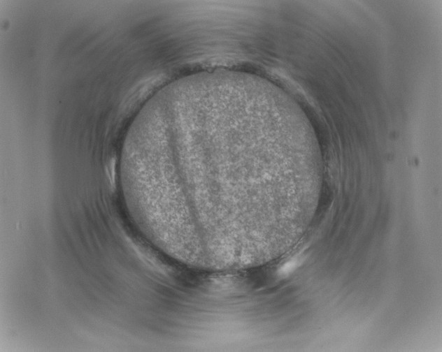 X0000075380070200609291601