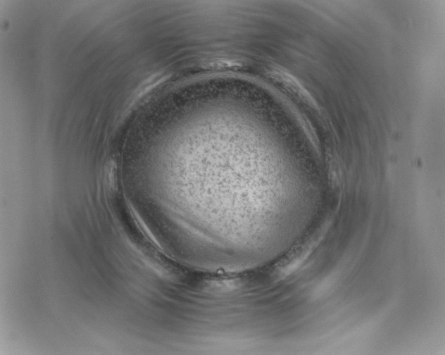 X0000075380071200609291601