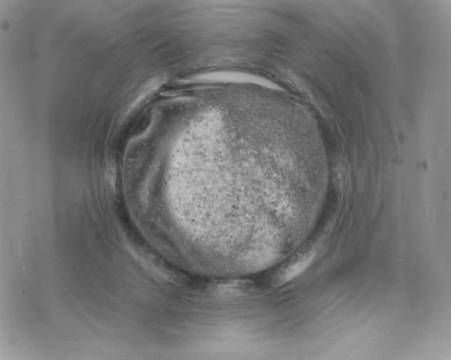 X0000075380072200609291601