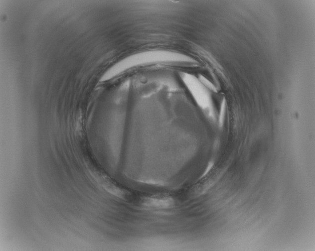 X0000075380073200609291601