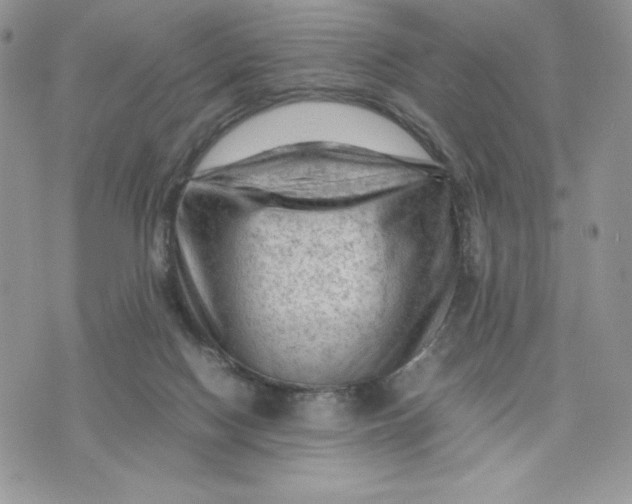 X0000075380074200609291601