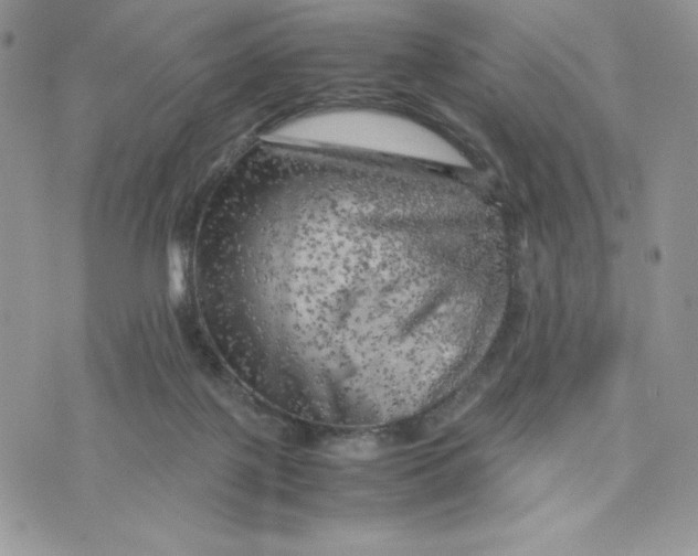 X0000075380075200609291601