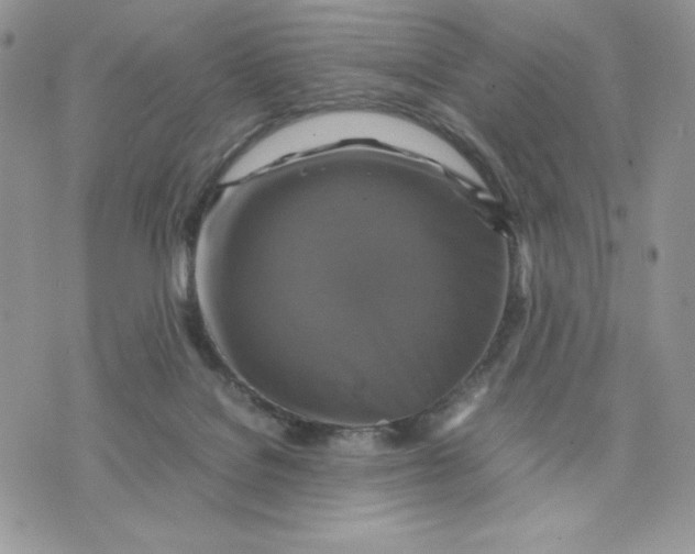 X0000075380076200609291601