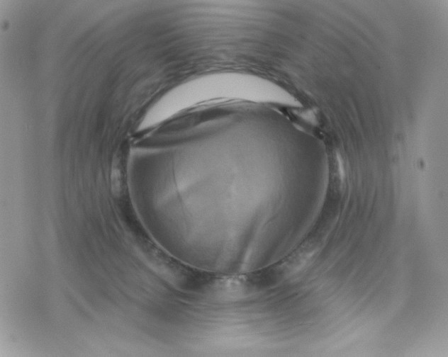 X0000075380080200609291601