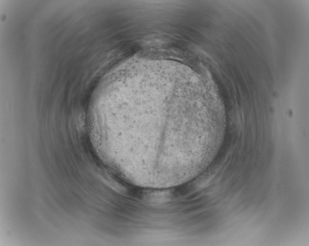 X0000075380081200609291602