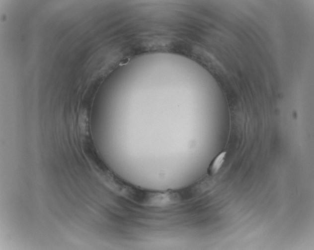 X0000075380083200609291602