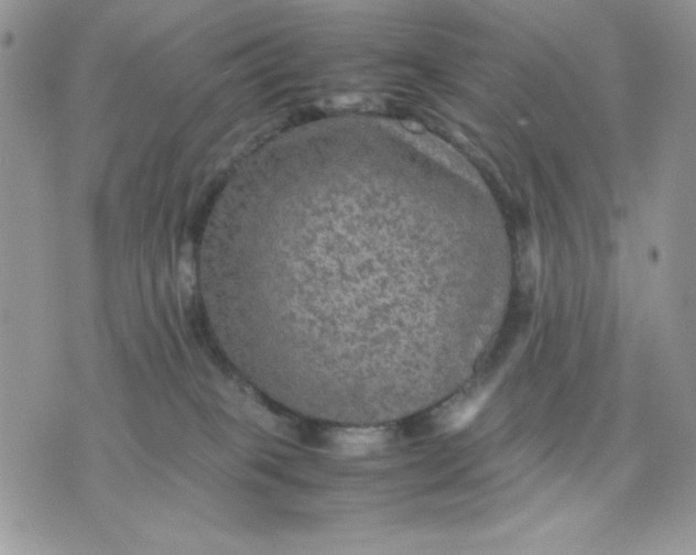 X0000075380085200609291602