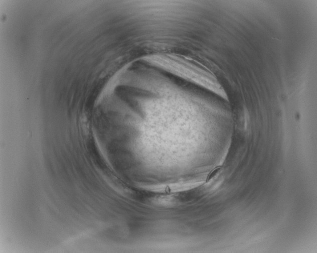 X0000075380086200609291602