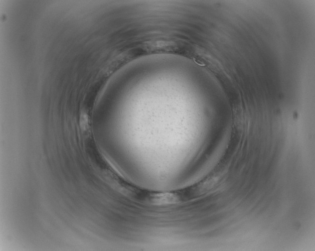 X0000075380087200609291602