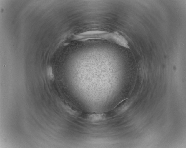 X0000075380089200609291602