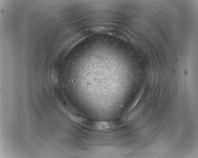 X0000075380091200609291602