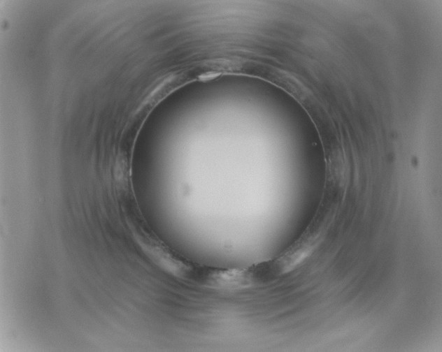 X0000075380092200609291602