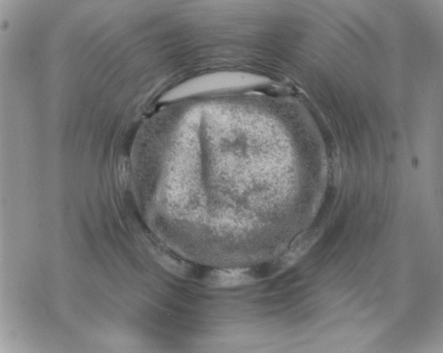 X0000075380093200609291602