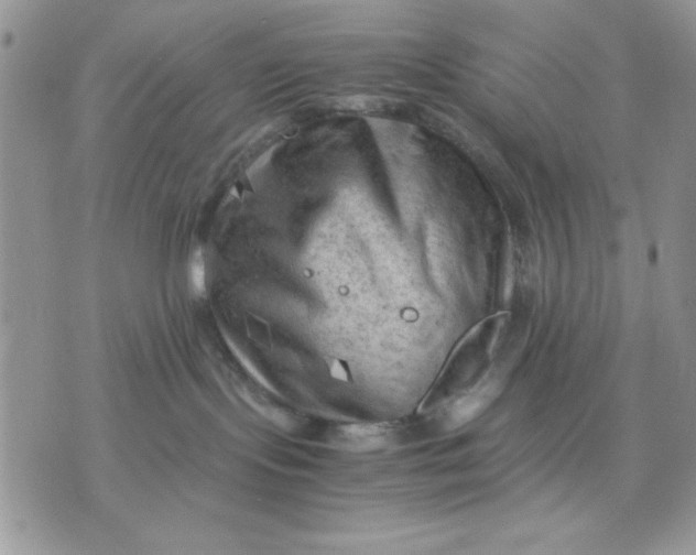 X0000075380095200609291602