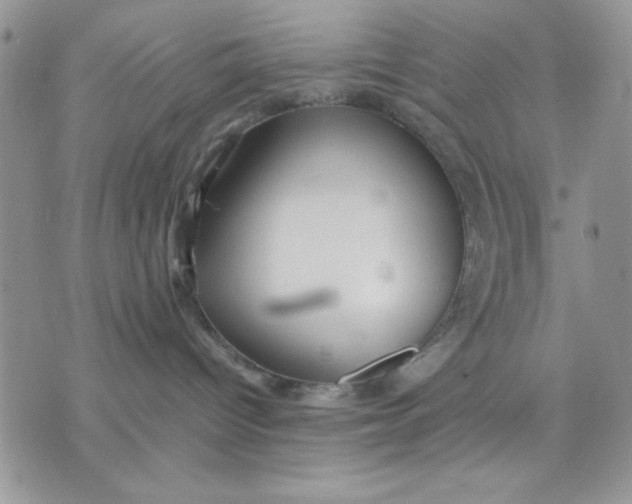 X0000075380096200609291602