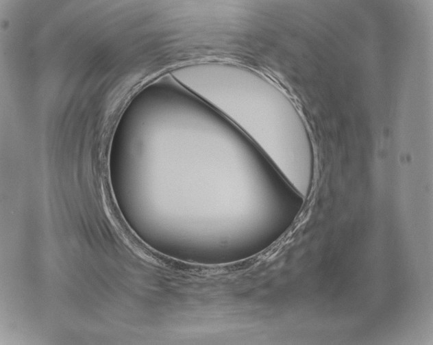 X0000075380097200609291601