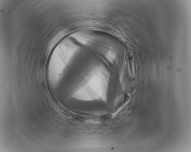 X0000075380099200609291601