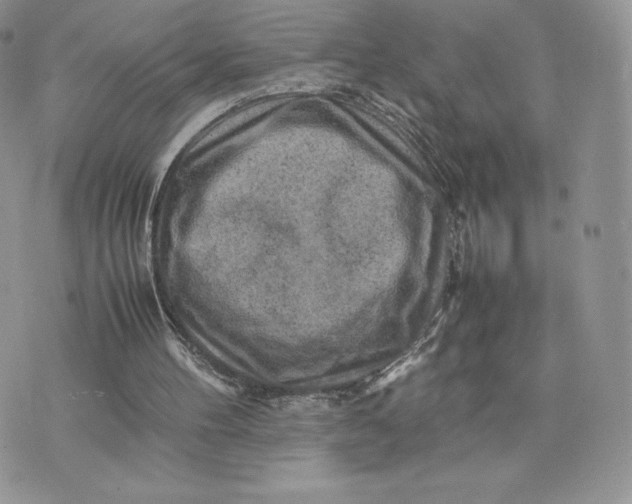 X0000075380100200609291601