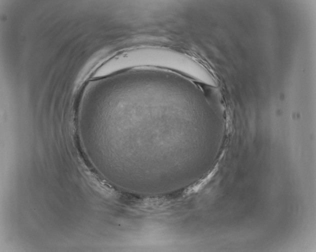 X0000075380101200609291601