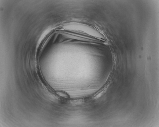 X0000075380102200609291601