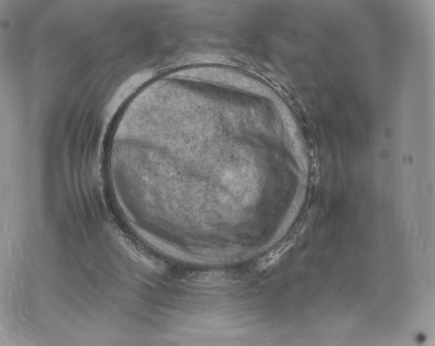 X0000075380104200609291601