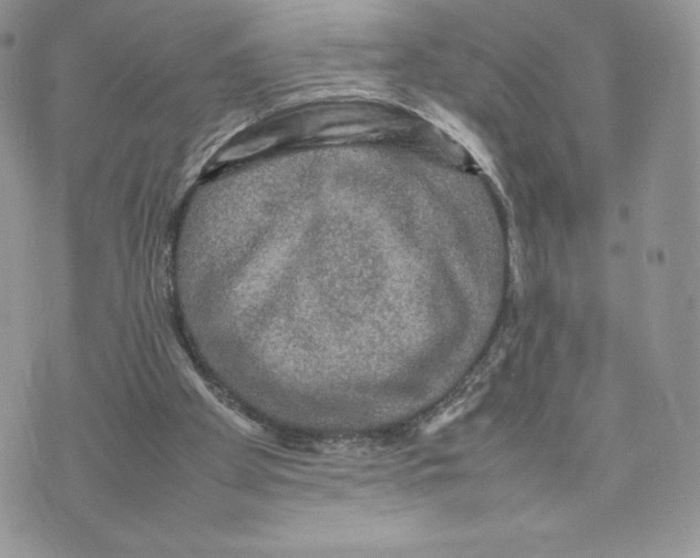 X0000075380105200609291601