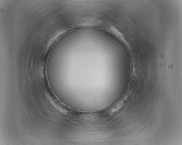 X0000075380106200609291601