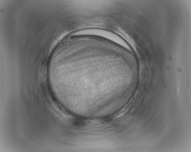 X0000075380107200609291601