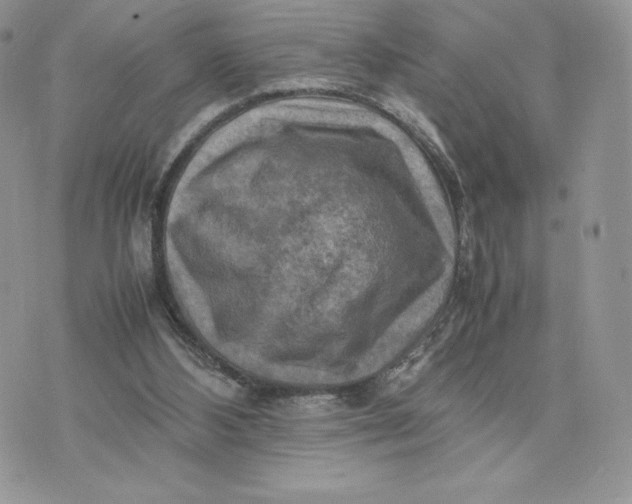 X0000075380108200609291601