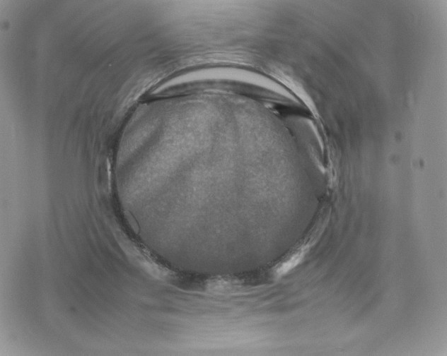 X0000075380109200609291601