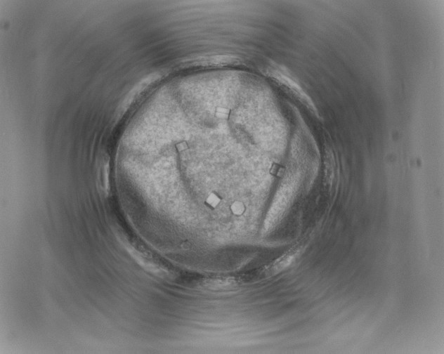 X0000075380110200609291601