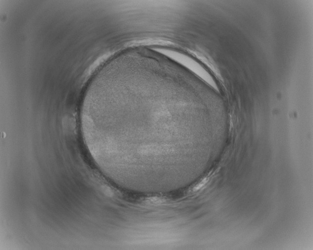 X0000075380111200609291601