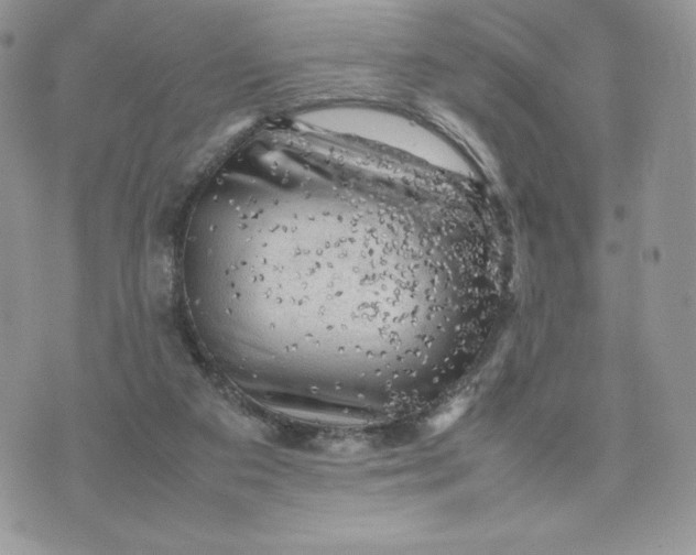 X0000075380113200609291601