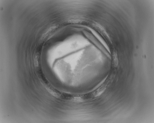 X0000075380114200609291601