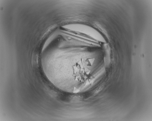 X0000075380115200609291601