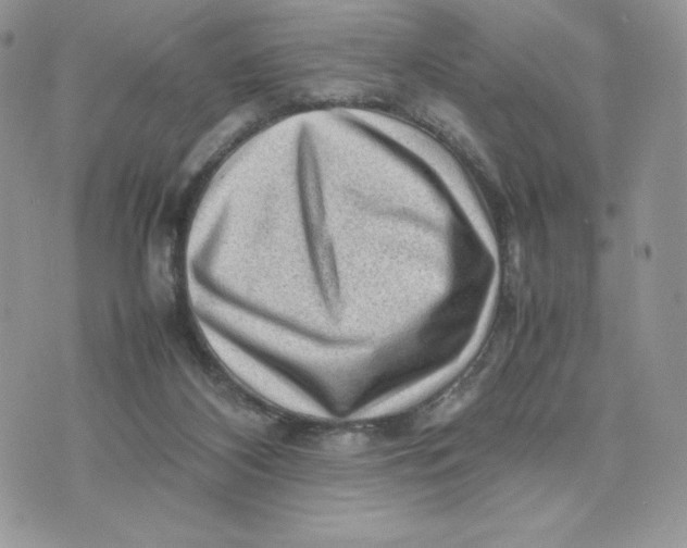 X0000075380116200609291601