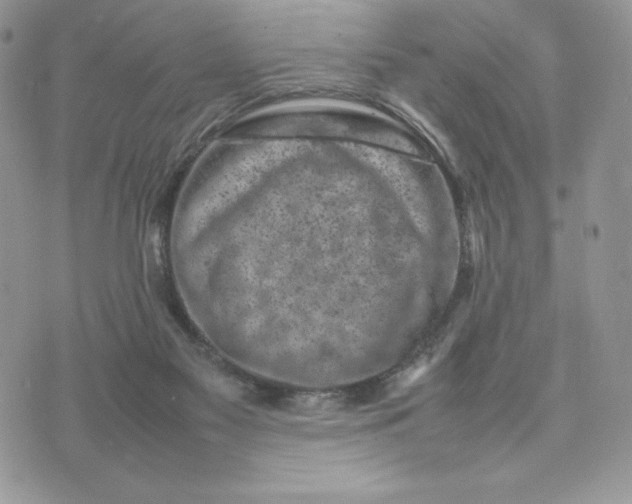 X0000075380117200609291601