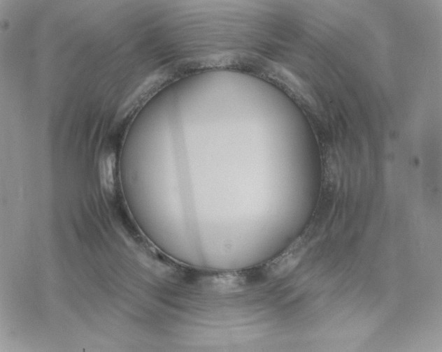 X0000075380118200609291601