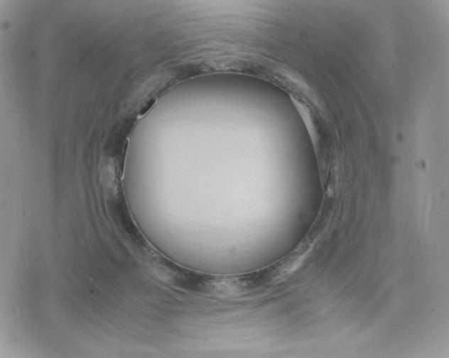 X0000075380121200609291601