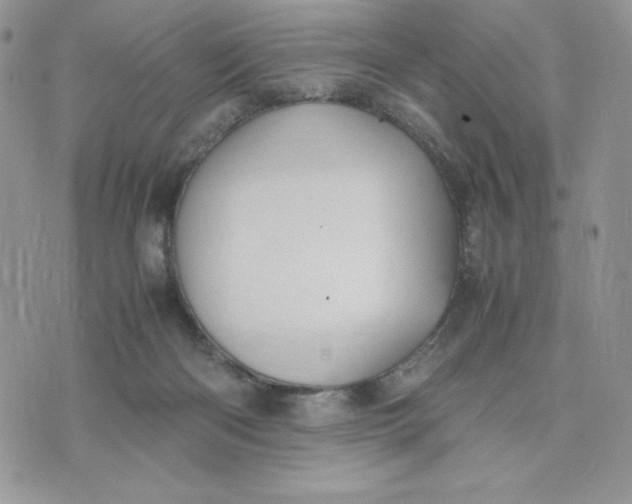 X0000075380122200609291601