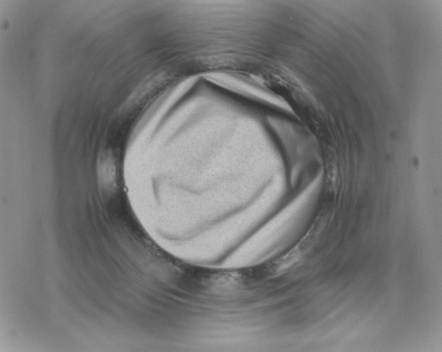 X0000075380124200609291601