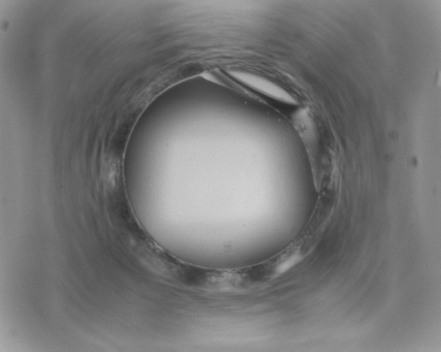 X0000075380125200609291601