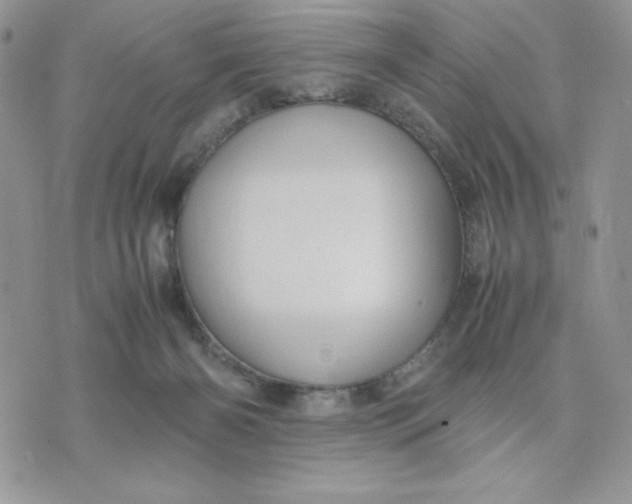 X0000075380126200609291600