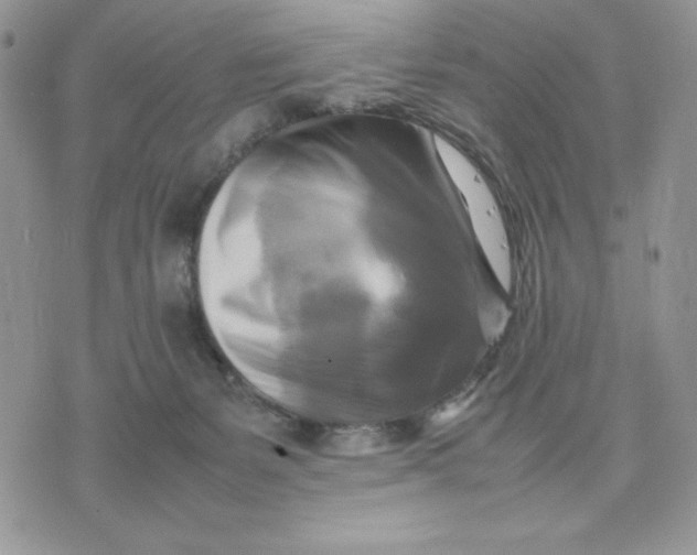 X0000075380127200609291600