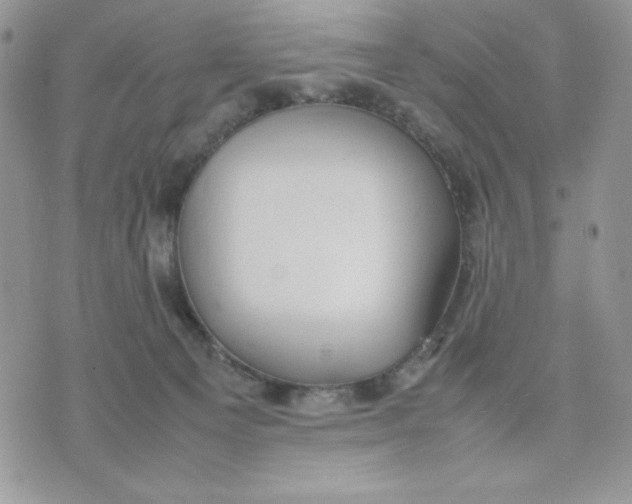 X0000075380129200609291600