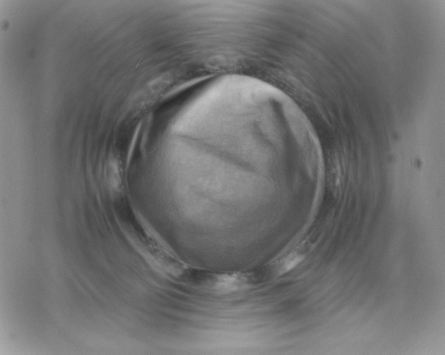 X0000075380130200609291600