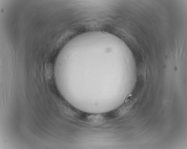 X0000075380133200609291600