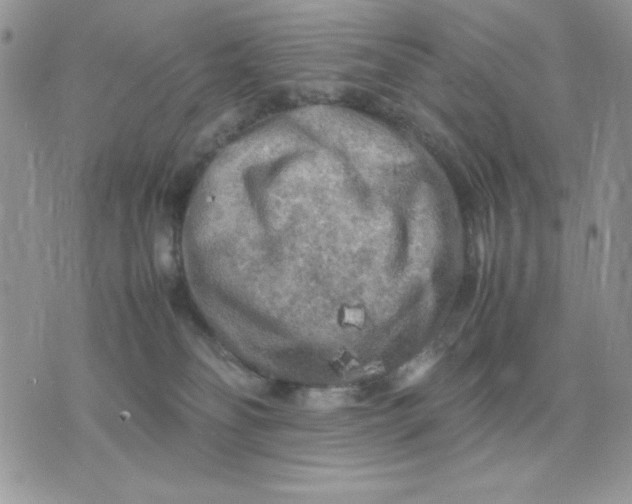 X0000075380134200609291600