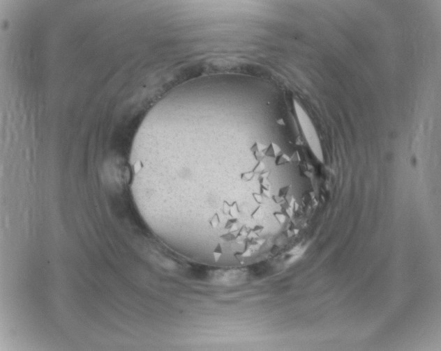 X0000075380135200609291600